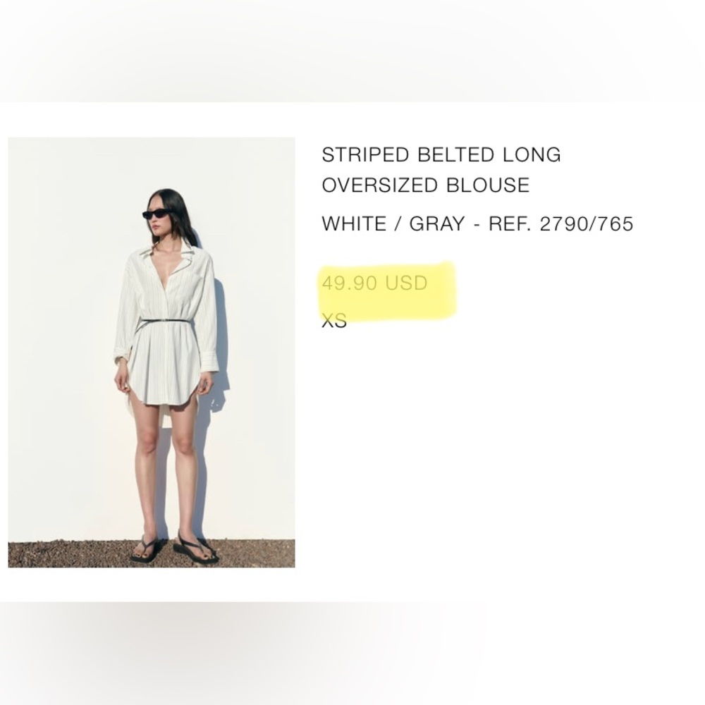 ZARA NEW W/Tag Oversized Blouse